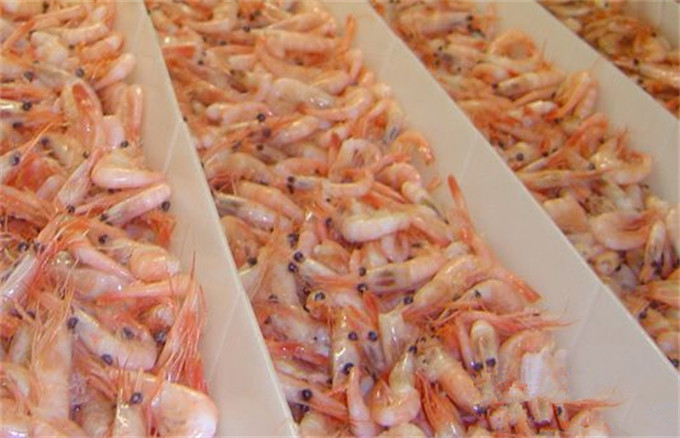 水產(chǎn)品生產(chǎn)線